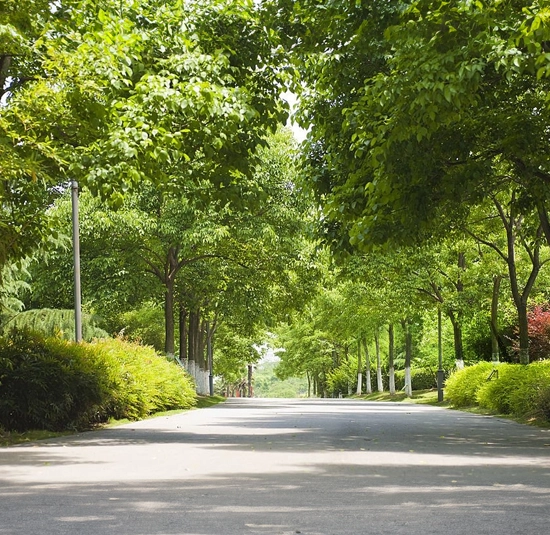 Boulevard Gardens